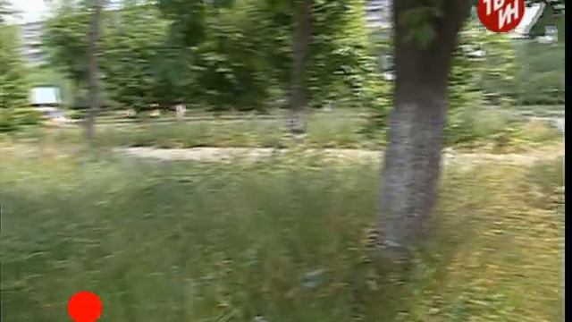 Накося выКОСИ!!! смотреть онлайн