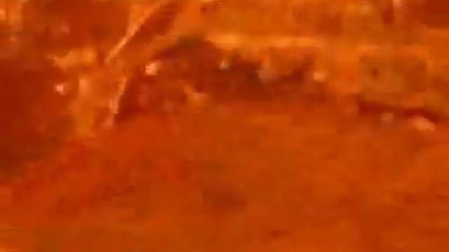 забыл запах твоих волос смотреть онлайн