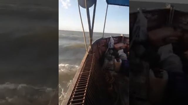 Ловля рапана. смотреть онлайн