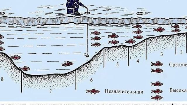 В каких местах водоема держится все крупная рыба? смотреть онлайн