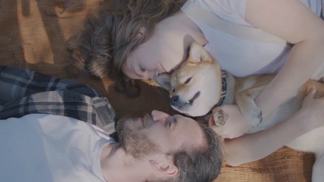 How to Know If You are ready for a Puppy смотреть онлайн