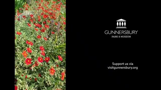 Formal Garden Tour смотреть онлайн