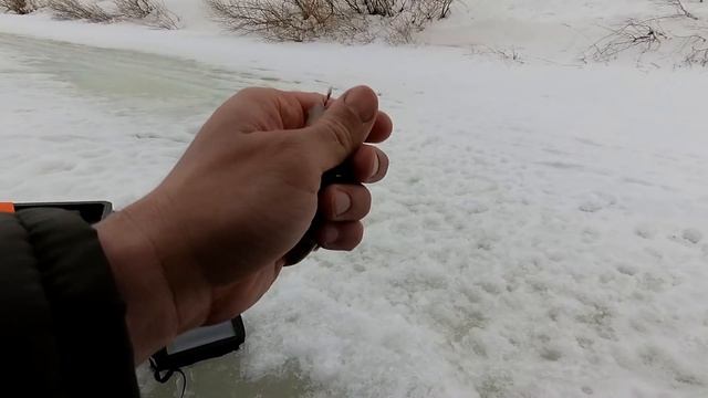 Такого давно не было - Замор рыбы зимой. Ловля живца на мормышку смотреть онлайн