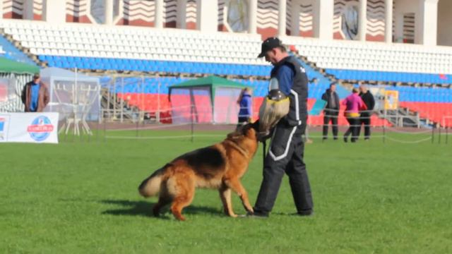 выставка Смоленск 1 2 мая КЧК РСЛНО 80 смотреть онлайн