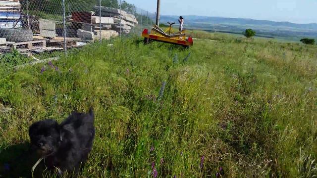 Панорамный вид с коттеджного поселка «Вершина» (Анапа) на море смотреть онлайн