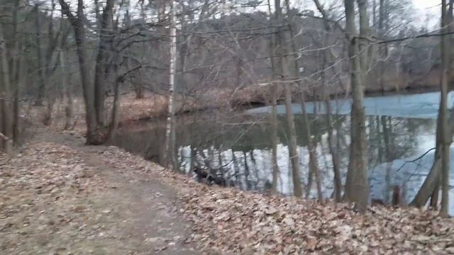 Парк Серебряный Бор смотреть онлайн