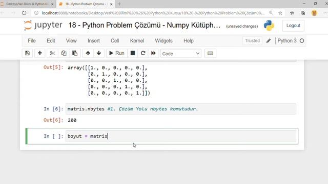 PYTHON İLE VERİ BİLİMİ - NUMPY KÜTÜPHANESİ (18) PROBLEM ÇÖZÜMÜ смотреть онлайн