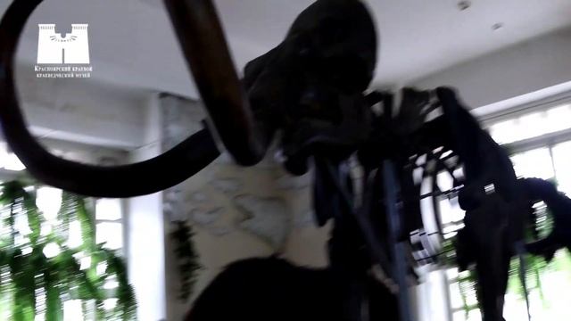Музейный карантин: скелет мамонта смотреть онлайн