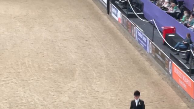 HOYS 2021 Show Pony Championship смотреть онлайн