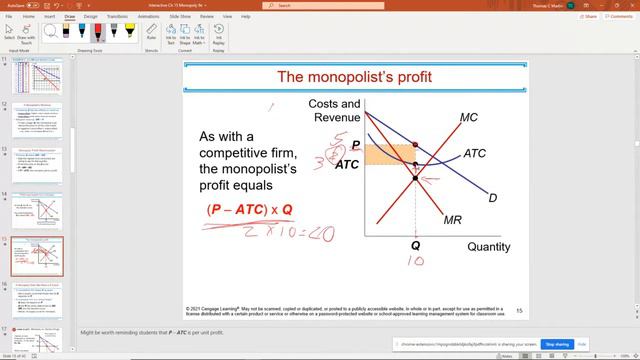 Mankiw Chapter 15 Monopoly