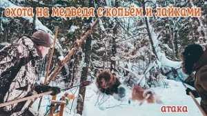 Опасная охота с копьем и лайками на медведя. Часть 1