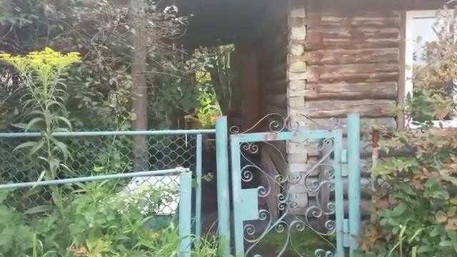 Тест №15. Защита восточно-европейская овчарка. Часть 2. смотреть онлайн