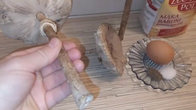 Вкусные рецепты с грибами