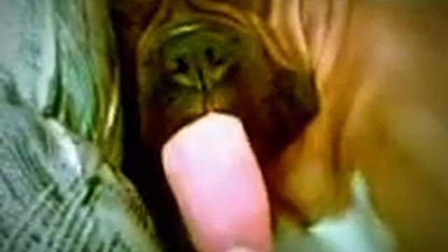 30 секунд улыбки смотреть онлайн