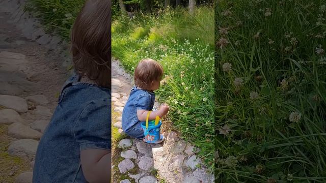 День рождения | Выборг | Парк Монрепо смотреть онлайн