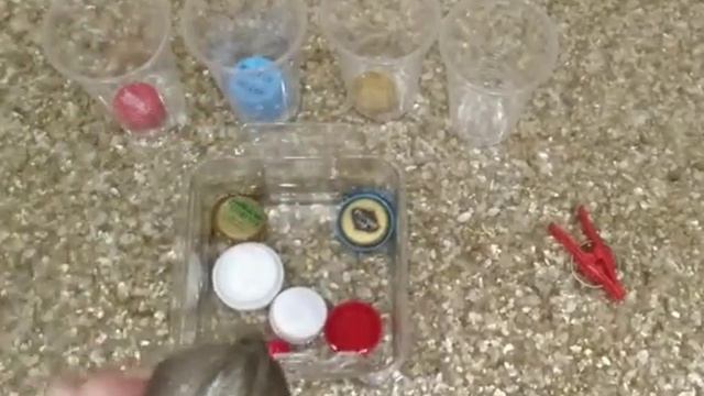 Развитие мышления. Игра-классификация "Рыбки". смотреть онлайн