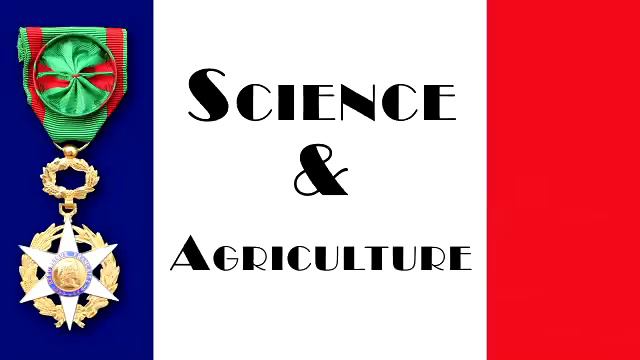 Cellar Angels Presents: Hand-Made by Marketta смотреть онлайн