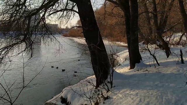 Лыжники идут на пляж Спортивный Брянск смотреть онлайн