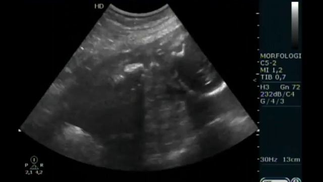 Monira\julia смотреть онлайн