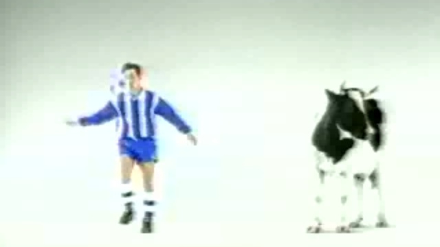 Корова и футбол