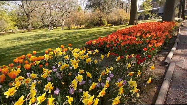 Брюссель. Выставка цветов (Floralia Brussels).