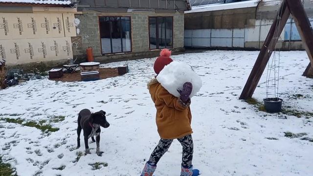 14 декабря у нас выпал первый снег ❄️ @wetrudyazhki смотреть онлайн