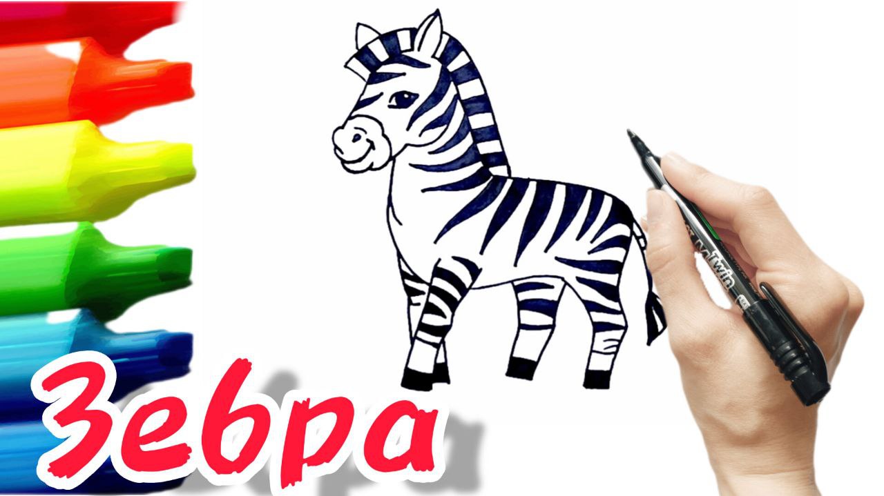 Как нарисовать зебру смотреть онлайн