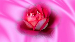 Футаж. Цветочный фон 113