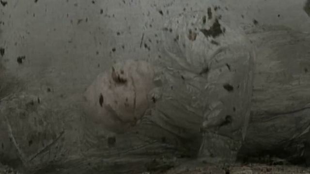 Ивакин. Чёрные бабочки.