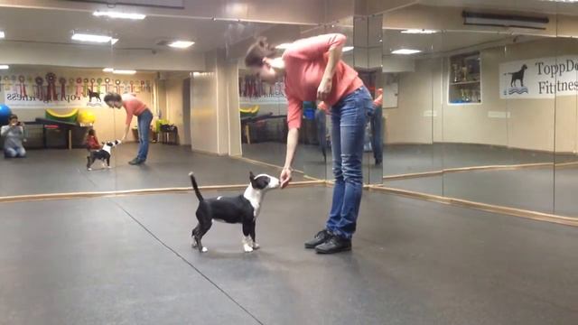 YANNI HOUSE IDEA FIX (aka Frosya)- 6 months смотреть онлайн