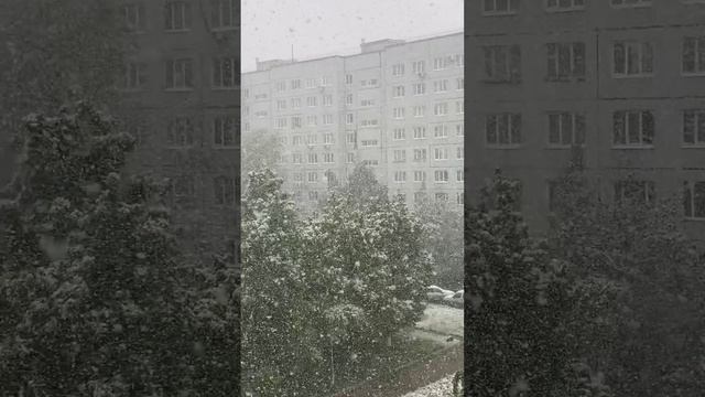 9 мая в Тольятти