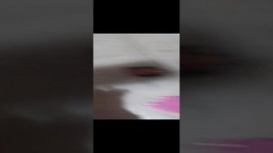 Сереноголовый нападает!!!