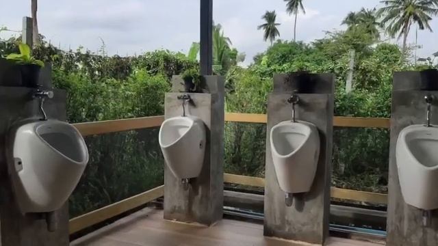 ร้านอาหาร Torch เขตตลิ่งชัน смотреть онлайн