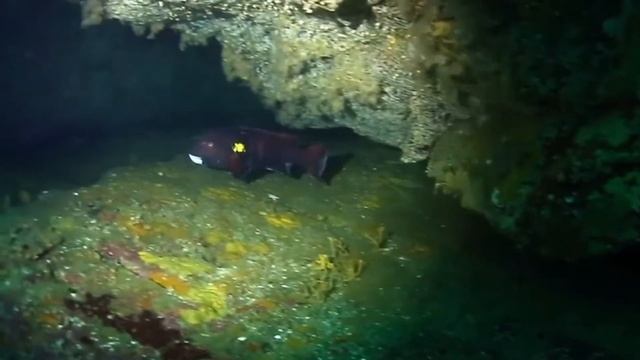 Этот рыбак просто ловил рыбу в море, но когда он вытащил сеть в ней было кое что невероятное смотреть онлайн