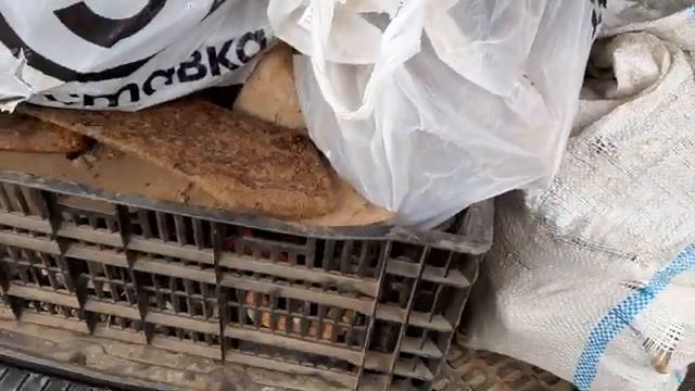 Сдаю металл, серебро, золото. Подвел итоги. Коп в полях. смотреть онлайн