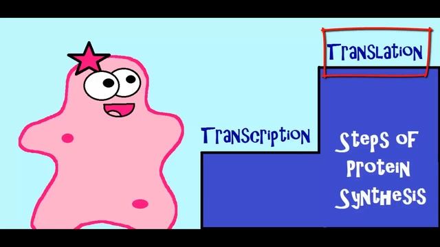(OLD VIDEO) Protein Synthesis and the Lean, Mean Ribosome Machines смотреть онлайн