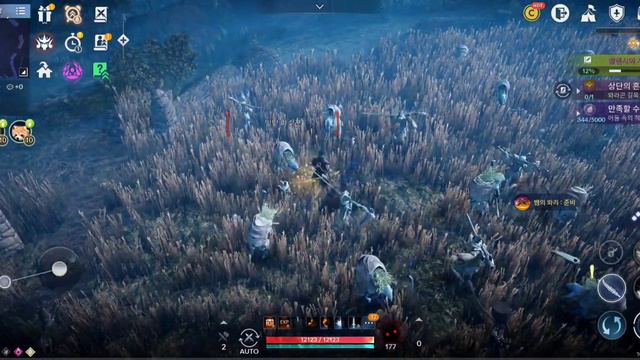 Zayed PvE KPM Test - Black Desert Mobile Kr смотреть онлайн