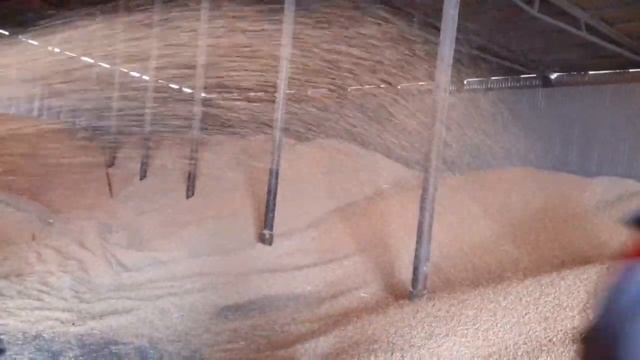 с.Пионерское Воронежская область Новохаперский район ПЗК-60"Зубр" смотреть онлайн