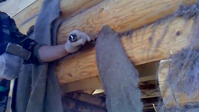 Конопатка сруба смотреть онлайн