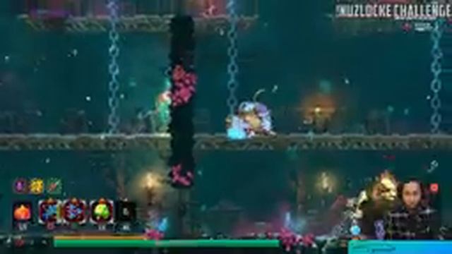 SMASHING the Dead Cells Nuzlocke with a Random Brutality Build смотреть онлайн