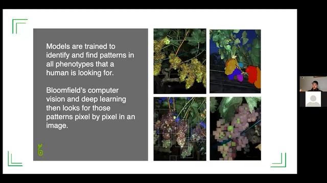 Digitalizing Vineyards — The Role of Computer Vision and Deep Learning in Yield Management смотреть онлайн