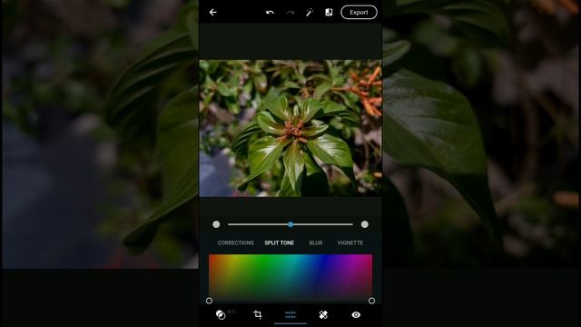 Photoshop express tutorials смотреть онлайн
