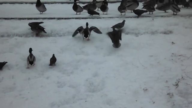на реке Воронка смотреть онлайн