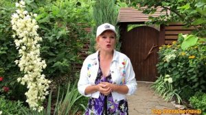 Красивый САД с нуля. С чего начать ,чтоб получилось? Первые шаги ВАЖНЫ.#ландшафтный дизайн #сад#дач