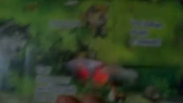 Обзор книги "Животные". смотреть онлайн