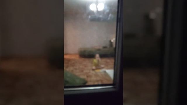 я переехал в Воронеж смотреть онлайн