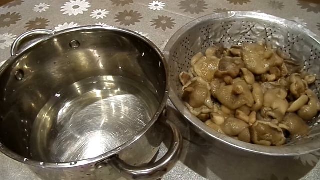 Маринованные лесные грибы маслята консервируем на зиму. Рецепт маринованных грибов. смотреть онлайн