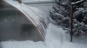 Своими руками: Зимний сад.