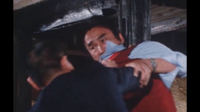 太陽にほえろ！ 第550話 俺はプロだ！ смотреть онлайн