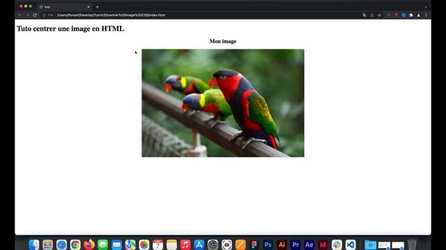 Comment centrer une image en CSS ? - Tuto смотреть онлайн